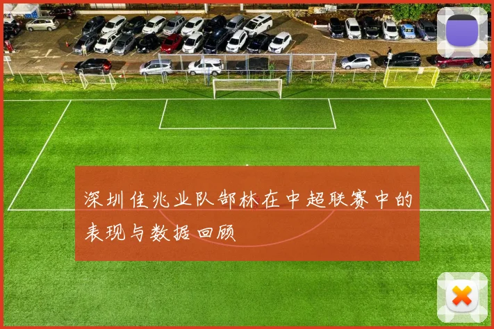 深圳佳兆业队郜林在中超联赛中的表现与数据回顾