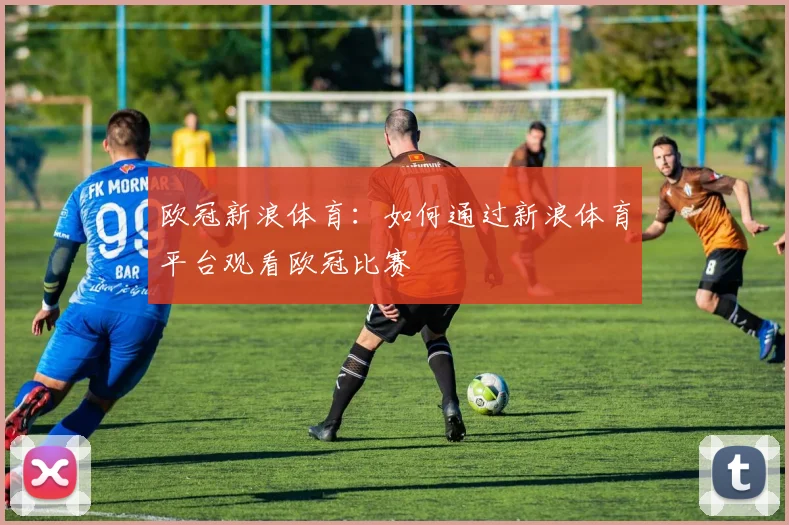欧冠新浪体育：如何通过新浪体育平台观看欧冠比赛