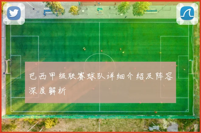 巴西甲级联赛球队详细介绍及阵容深度解析