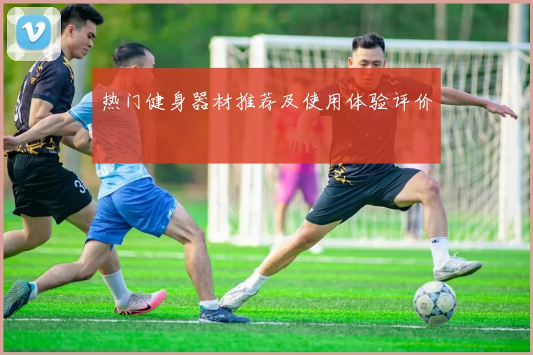 热门健身器材推荐及使用体验评价