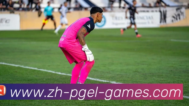 pg电子娱乐官网平台生态图